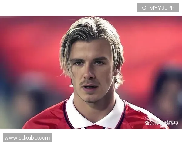 冷眼旁观意甲足球明星的起伏人生与赛场沉浮